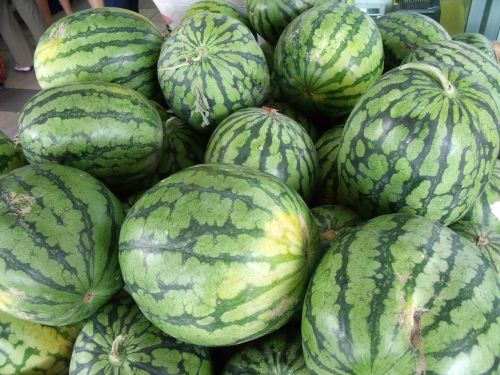 watermelons pile fresh