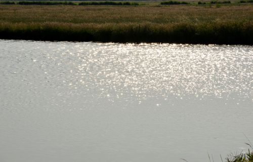 Watery Landscape