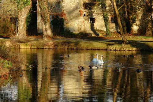 waters reflection nature