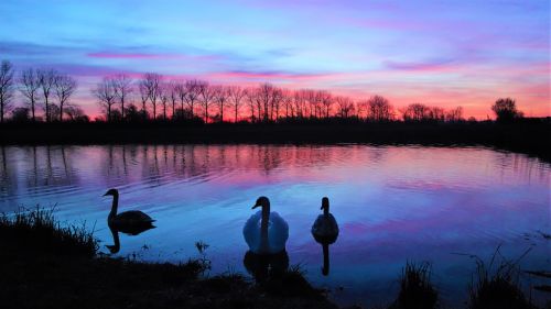 waters lake dawn