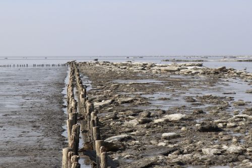 waters sea nature