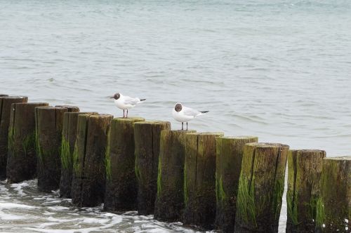 waters sea coast