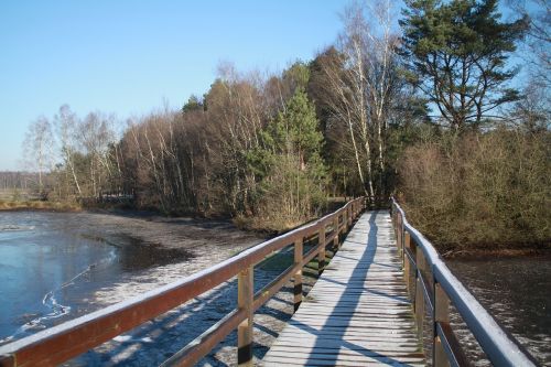 waters nature wood