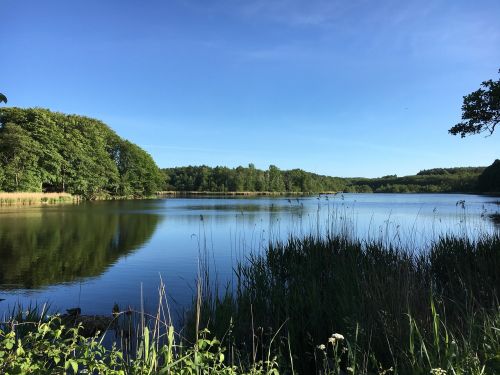 waters nature reflection