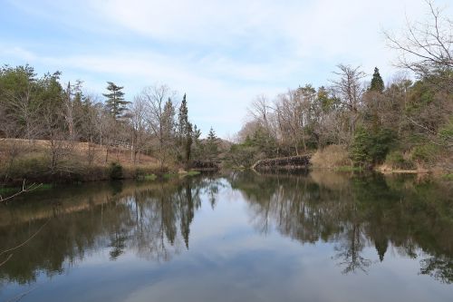 waters natural reflection