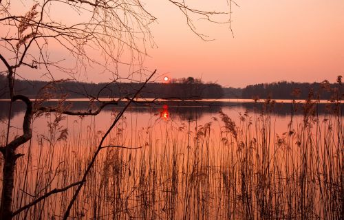 waters nature dawn