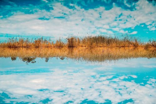 waters nature reflection