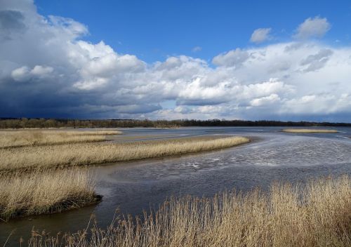 waters nature sky