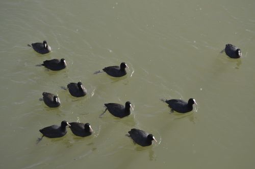 waters puddle lake