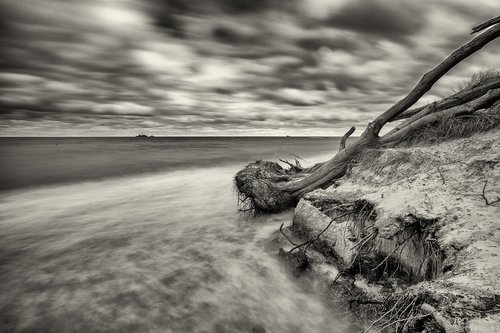 waters  coast  beach