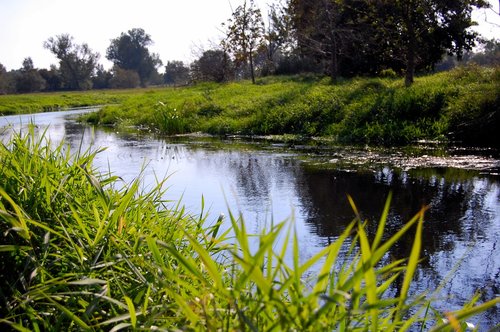 waters  nature  river