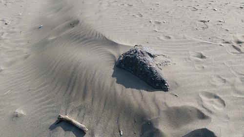 waters  beach  coast