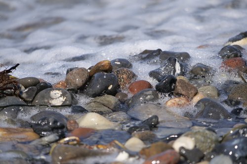 waters  baltic sea  pebble beach