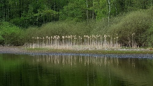 waters  reflection  nature