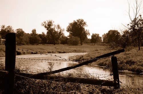 waters  fence  tree