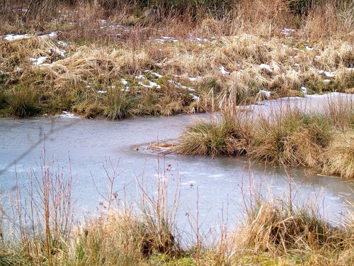 waters  nature  landscape