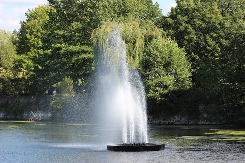 waters  nature  tree