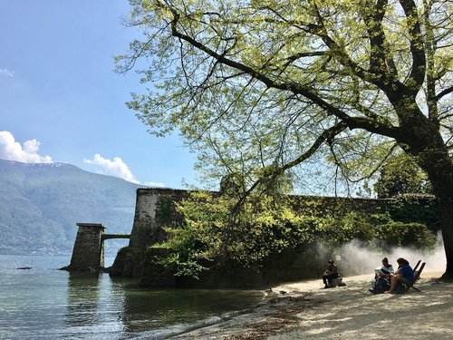 waters  tree  nature