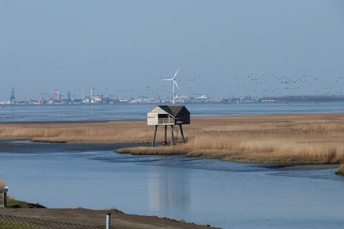 waters  sea  coast