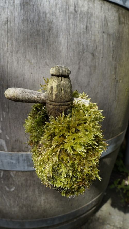 moss watervat wooden crane