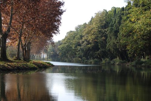 water landscape green