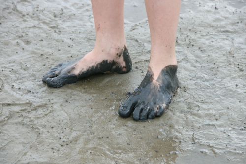 watt feet watts wadden sea