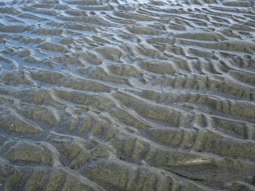 watts sea ebb