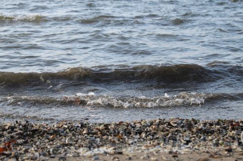 wave water beach