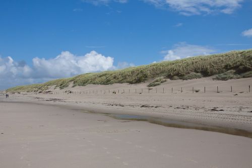 wave beach sand