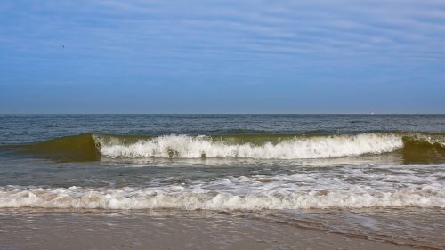 wave beach water