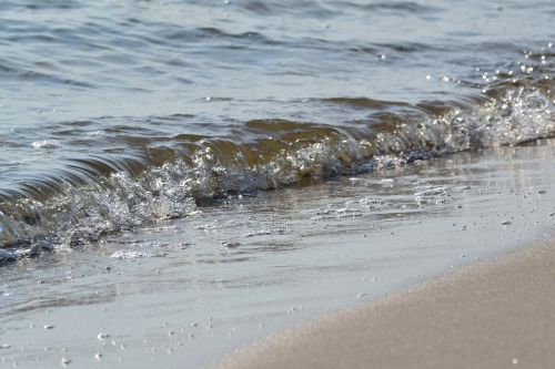 wave beach sea