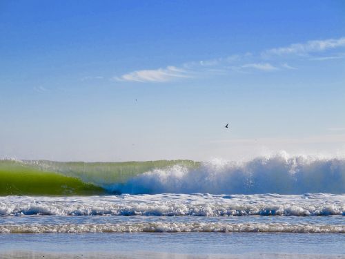 wave foam sea