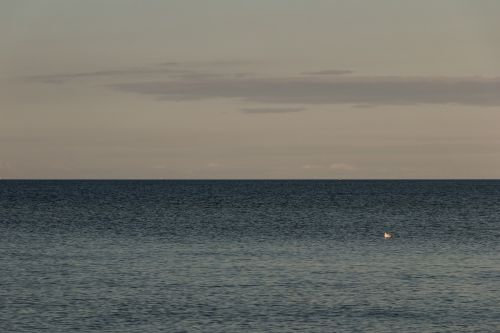 wave baltic sea sea