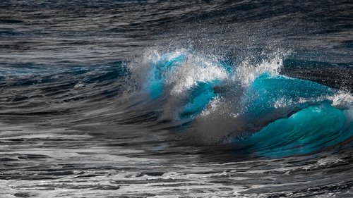 wave  surf  water