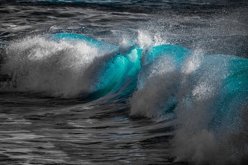 wave  water  surf