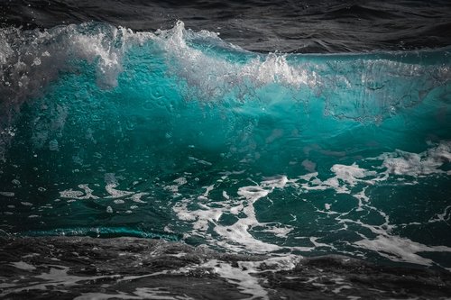 wave  surf  water