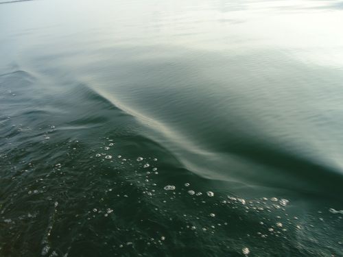 wave gentle water