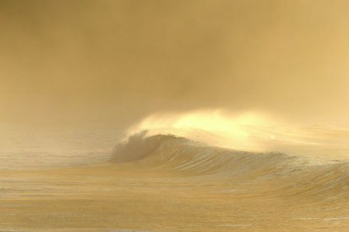 wave dawn ubatuba