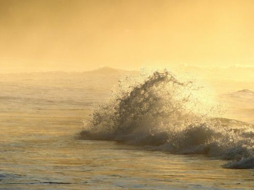 wave dawn ubatuba