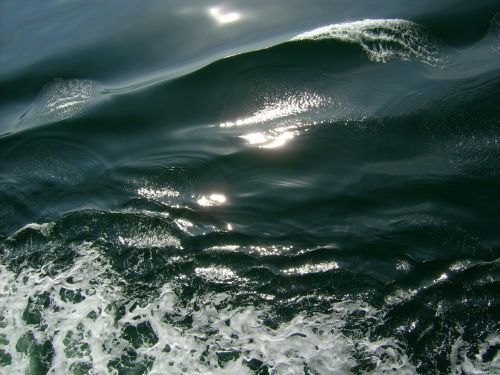 wave sea water