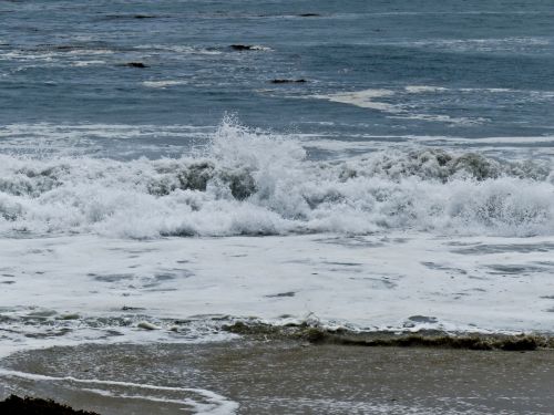 Wave At Laguna Beach