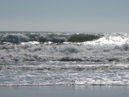 waves beach tides