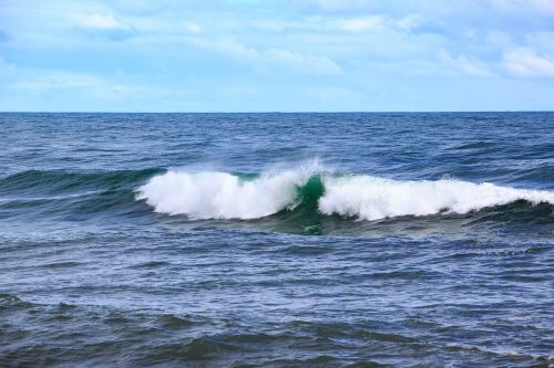 waves sea tasman