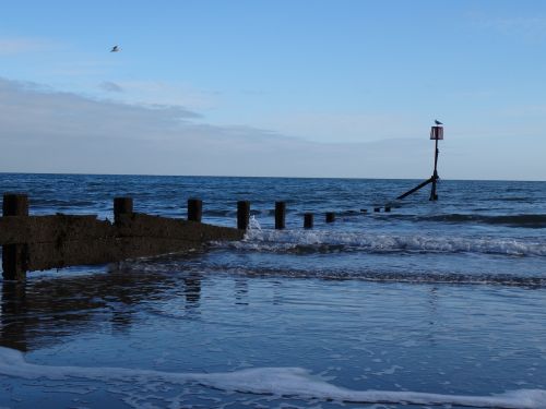 waves seagull perch