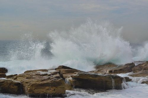 waves splash coogee