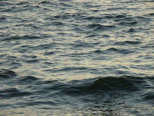 waves surface sea