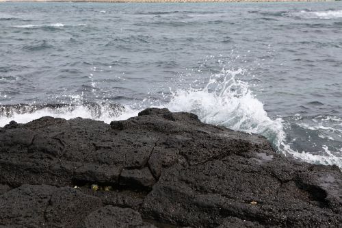 waves coastal jeju island