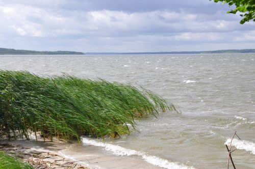 waves of storm plauer see reed