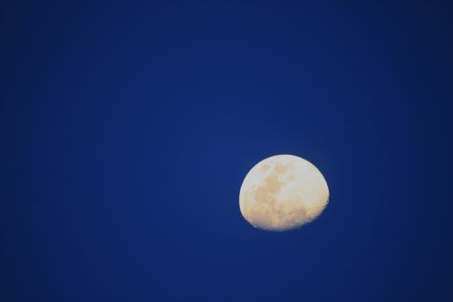 Waxing Moon In Blue Sky