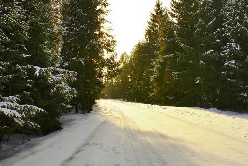 way winter snow